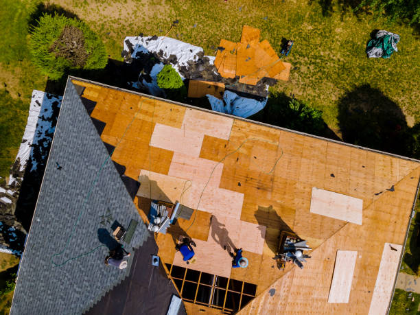 Best Roof Maintenance Services  in Virginia, IL
