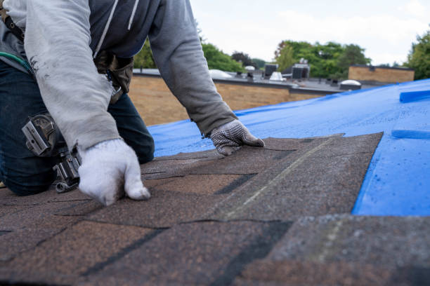Best Commercial Roofing Services  in Virginia, IL