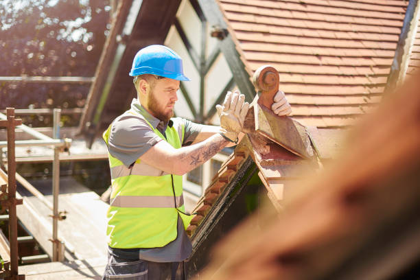Best Shingle Roofing Installation  in Virginia, IL